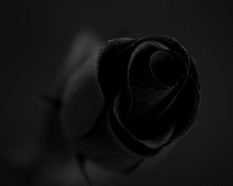 عکس عزاداری سیاه
