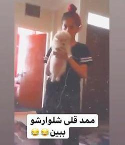 عکس ممد قلی را بیار