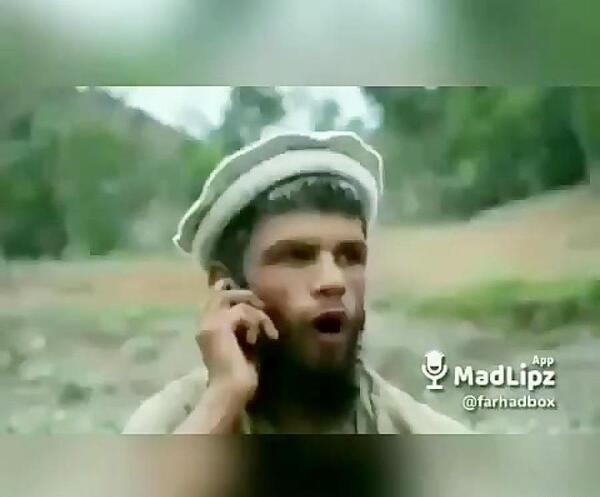 عکس ممد قلی صبا