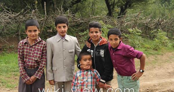 عکس دسته جمعی