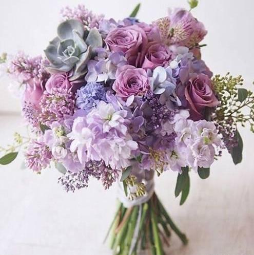 عکس دسته رنگی