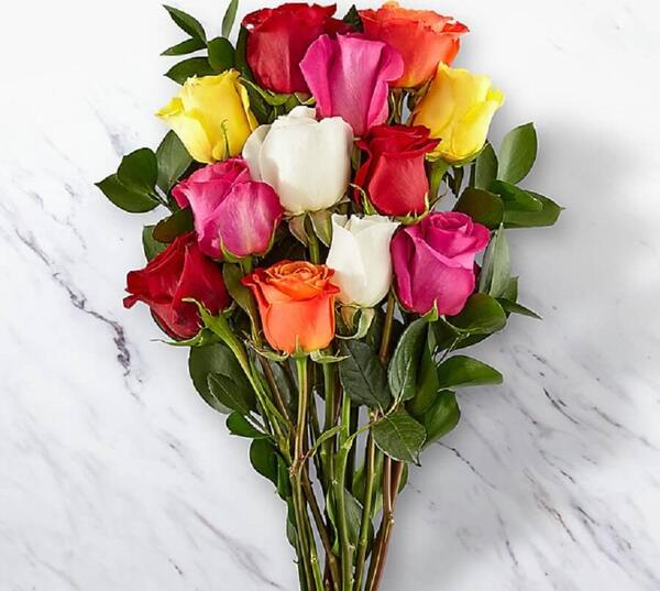 عکس دسته رنگی