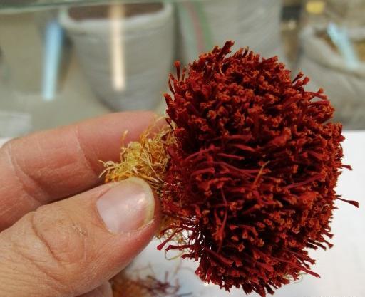 عکس دسته زعفران