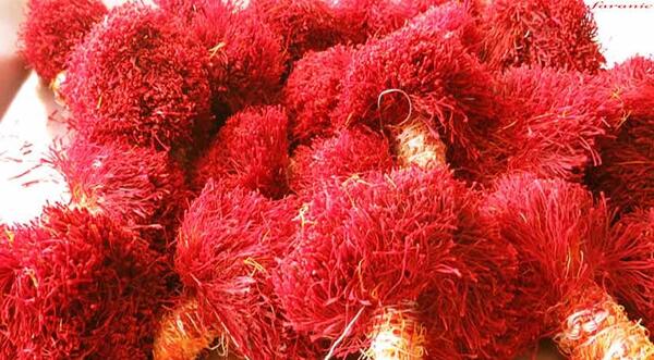 عکس دسته زعفران