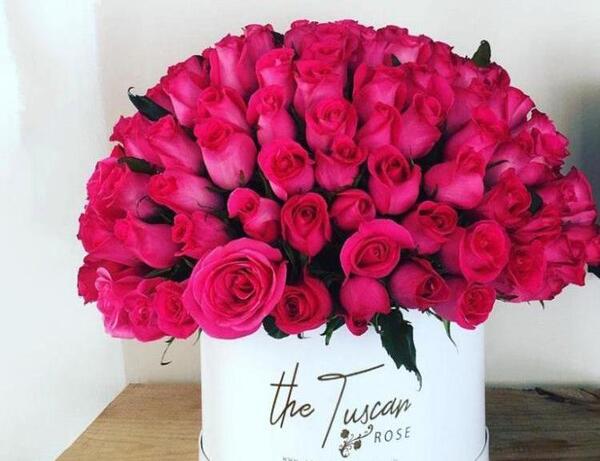 عکس دسته زیبا