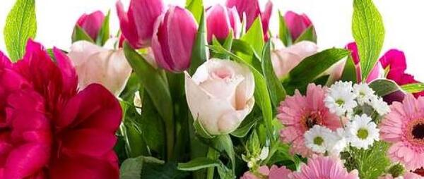 عکس زیباترین دسته گل های جهان