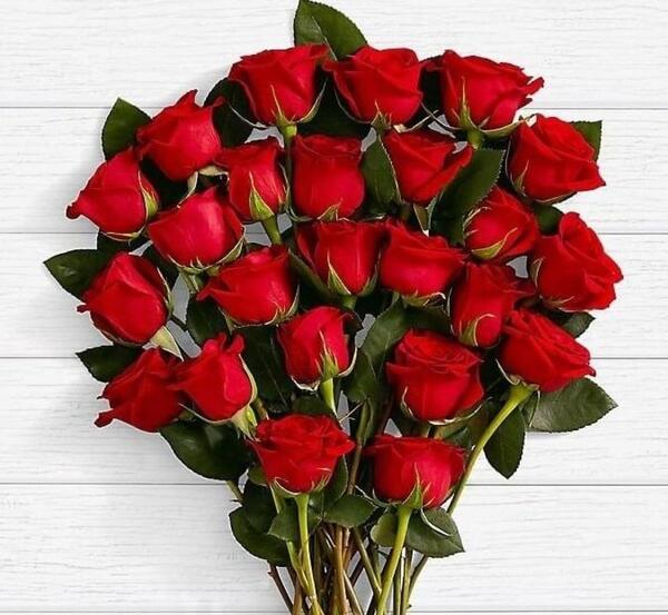 عکس دسته گل ژربرا