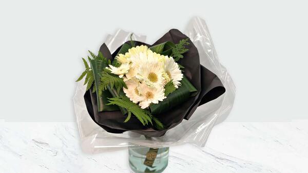 عکس دسته گل ژربرا