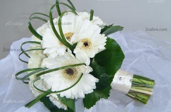 عکس دسته گل ژربرا