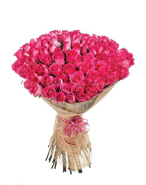 عکس دسته طبیعی