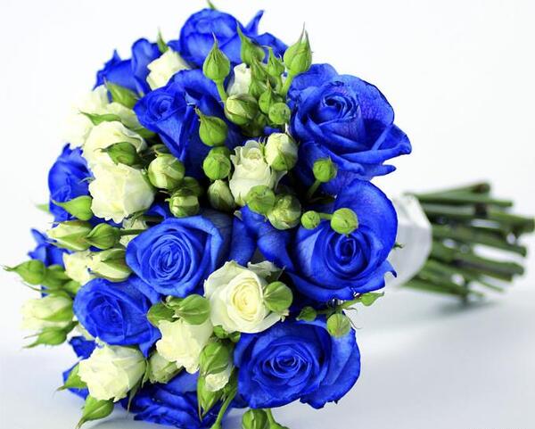 عکس دسته طبیعی