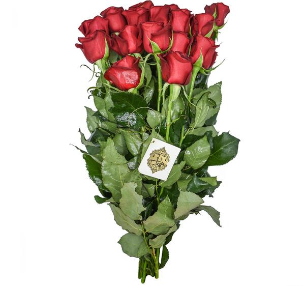 عکس دسته طبیعی