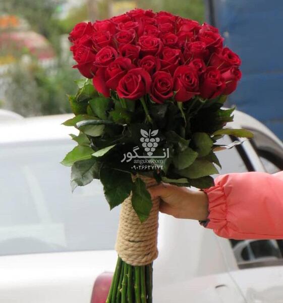 عکس دسته طبیعی
