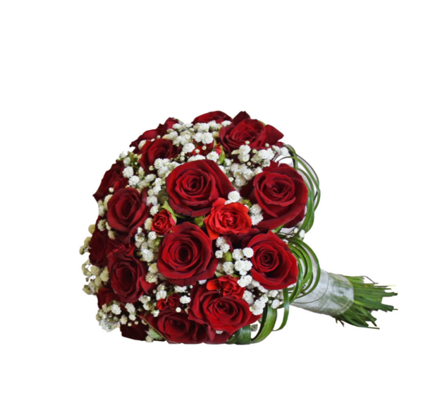 عکس دسته طبیعی