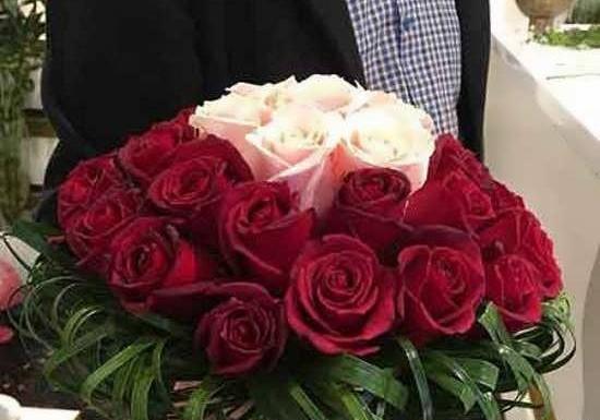 عکس دسته طبیعی