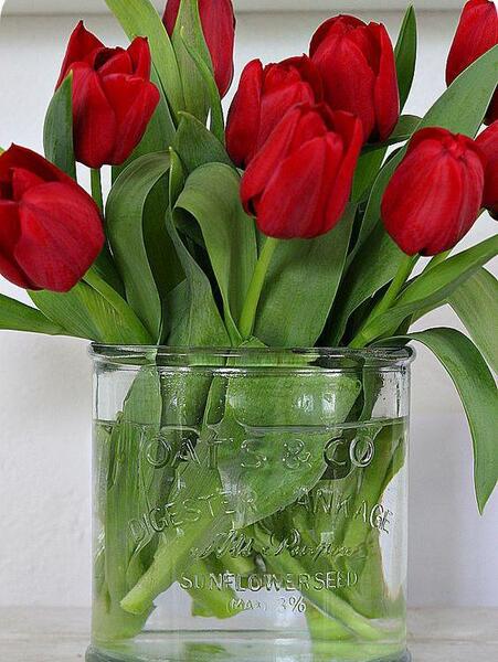عکس طبیعی دسته گل