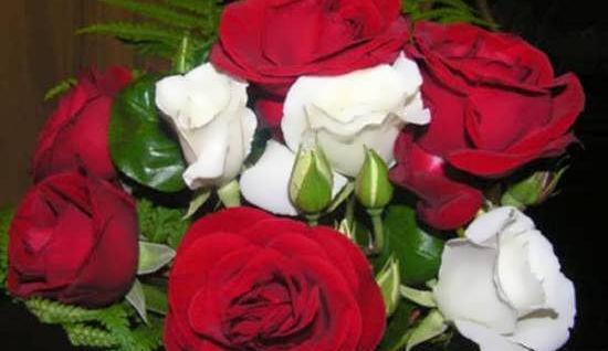 عکس طبیعی دسته گل
