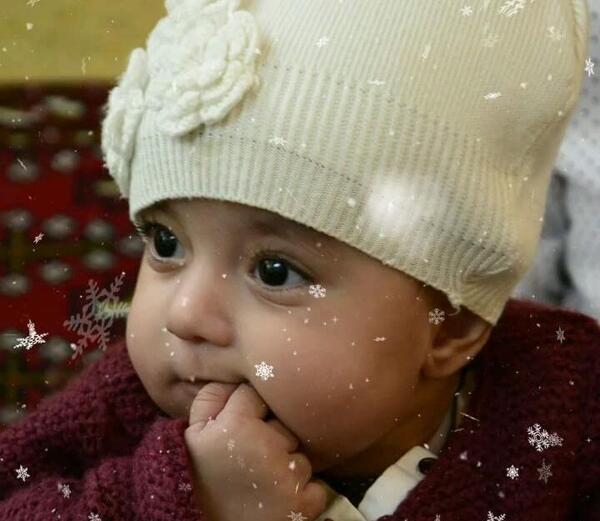 عکس دسته نی نی