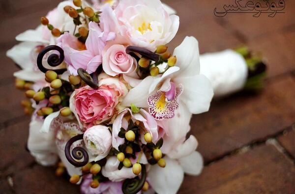 عکس دسته نامزدی