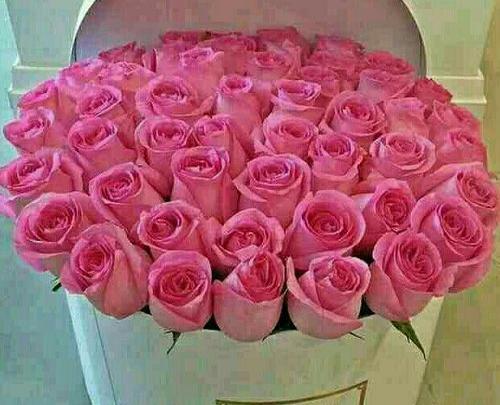 عکس نوشته دسته گل تقدیم به شما