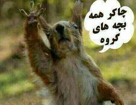 عکس جالب مدیر گروه
