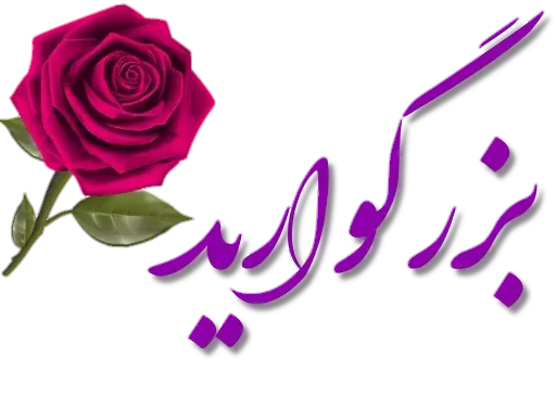 عکس مدیر گروه روزت مبارک