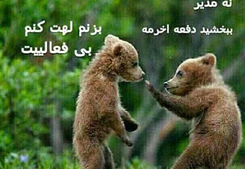 عکس مدیر طنز