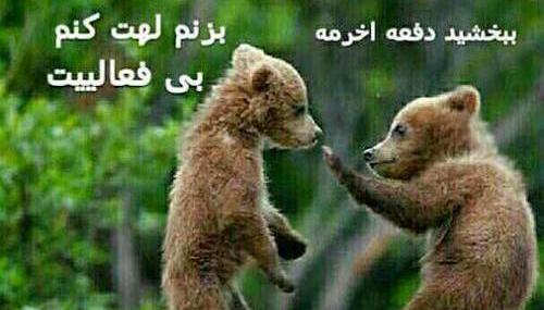 عکس طنز مدیر گروه واتساپ