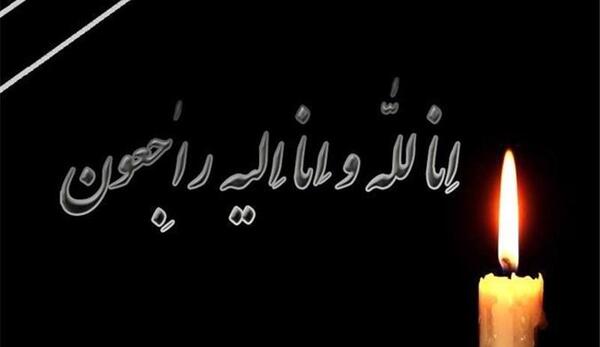 عکس مدیر کل میراث فرهنگی اصفهان