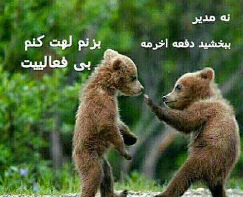 عکس مدیر واتساپ