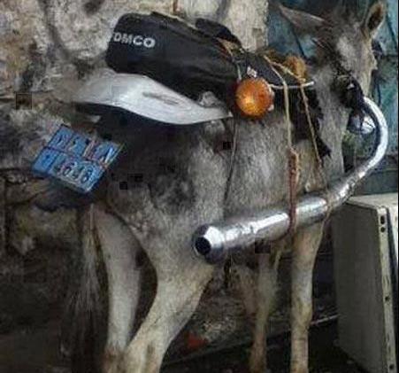 عکس واسه مدیر