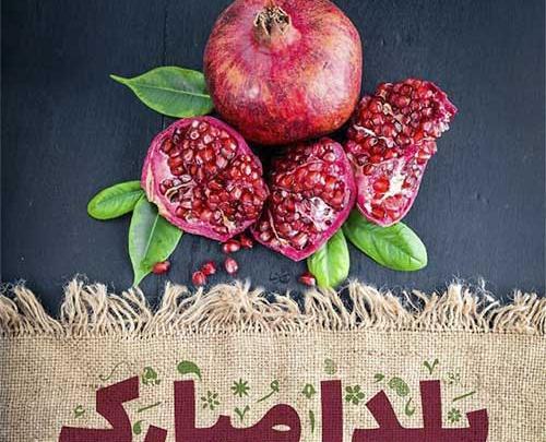 عکس مدیر عزیزم یلدا مبارک