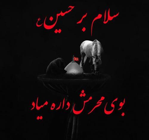 عکس پروفایل پیشاپیش محرم