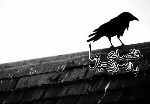 عکس پروفایل محرم قصه مابه سررسید