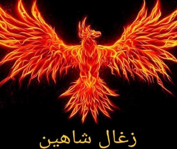 عکس لوگوی زغال