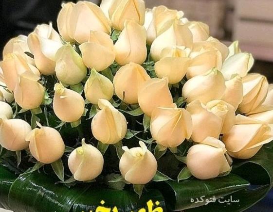 عکس لوگوی ظهر بخیر