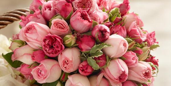 عکس hd دسته گل