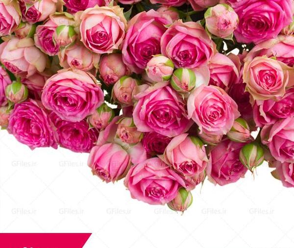 عکس hd دسته گل