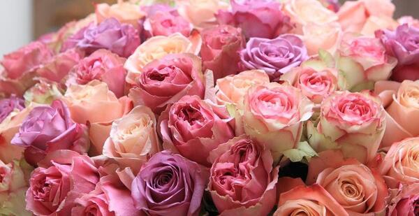 عکس hd دسته گل