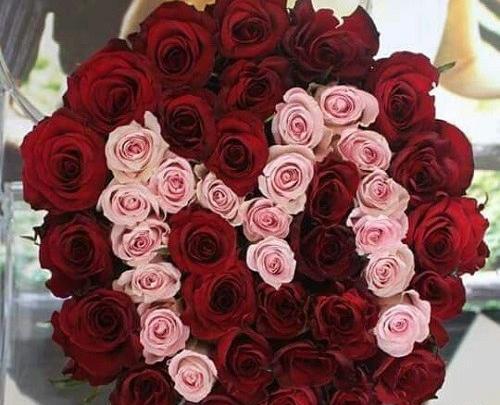 عکس دسته گل با حرف m