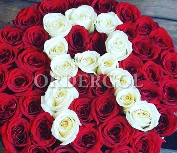 عکس دسته گل با حرف s