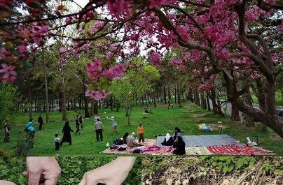 عکس مراسم سیزده بدر