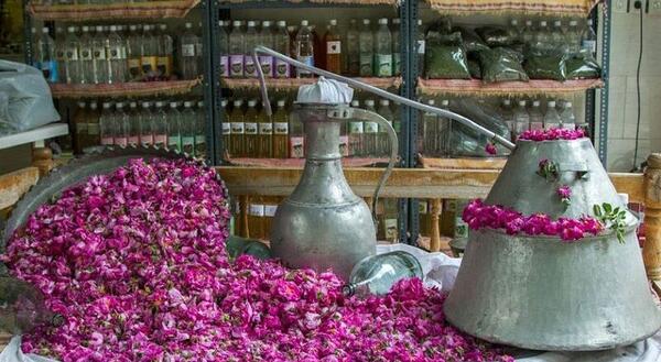 عکس مراسم گلاب گیری در کاشان