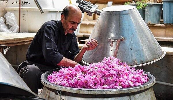 عکس مراسم گلاب گیری
