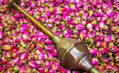 عکس مراسم گلاب گیری