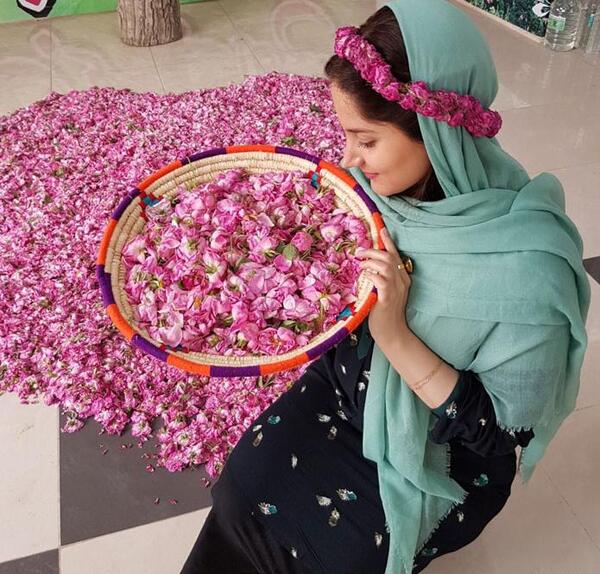 عکس مراسم گلاب گیری کاشان