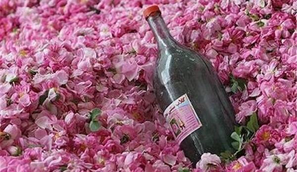 عکس مراسم گلاب گیری کاشان