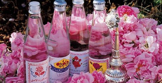 عکس مراسم گلاب گیری کاشان