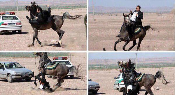 عکس نماینده جدید مرند