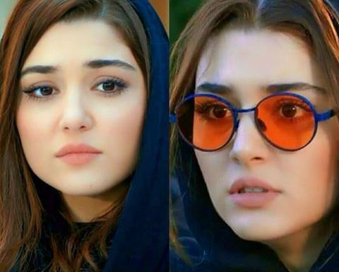 عکس هانده ارچل و شهاب حسینی